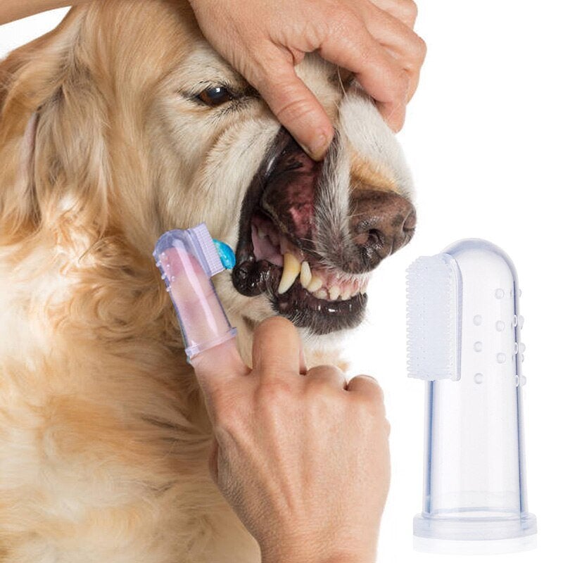 Super Soft Dog & Cat Toothbrush - My Pet Collective Super Soft Dog & Cat Toothbrush