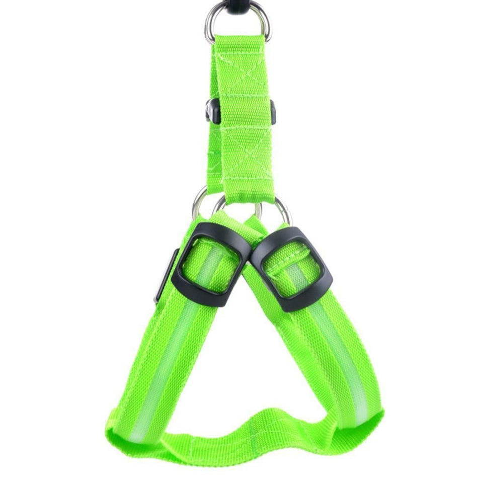 LED Nylon Pet Safety Harness - My Pet Collective LED Nylon Pet Safety Harness