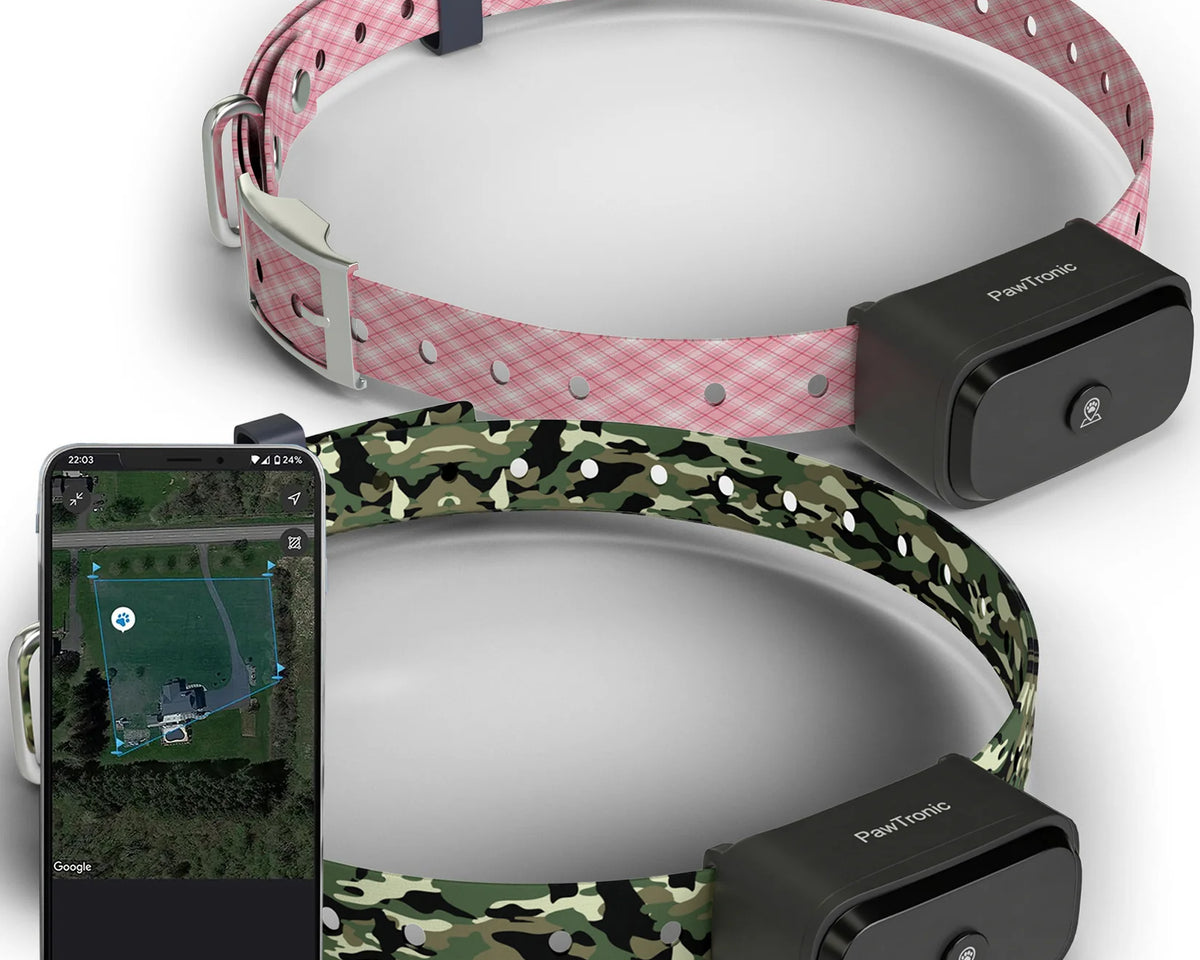 Pawtronic Pro Series: Ultimate Wireless GPS Dog Fence for Unmatched Freedom and Safety