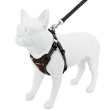 Step-In Flex Harness & Leash Set with Air Mesh