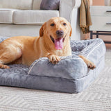 Ultra Comfortable Dog Beds for Medium Dogs