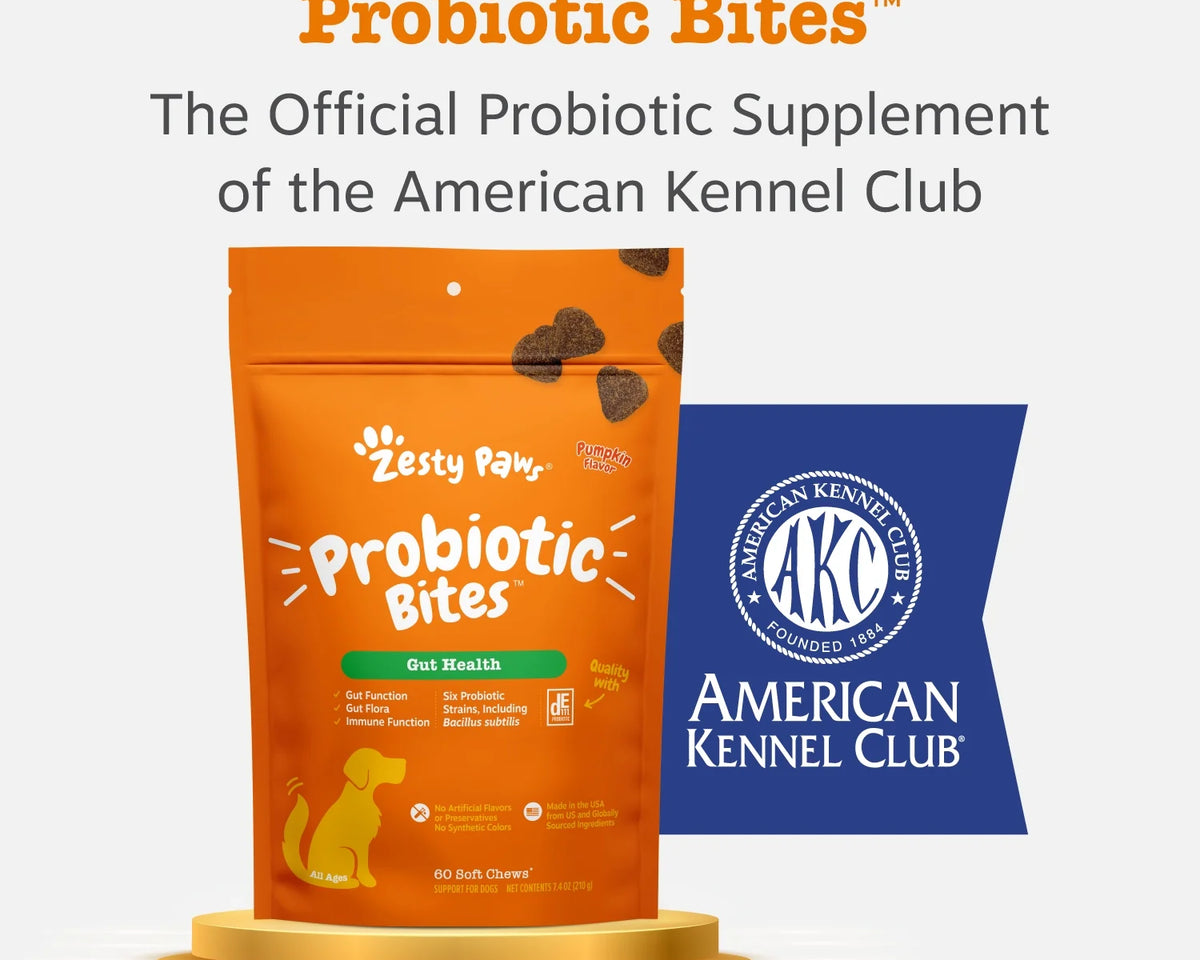 Delicious Pumpkin Flavor Probiotic Bites for Dogs - 3 Pack, 60 Count