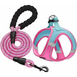 Adjustable No-Pull Dog Harness and Leash Set with Reflective Design and Padded Vest for Extra-Small to Medium Dogs
