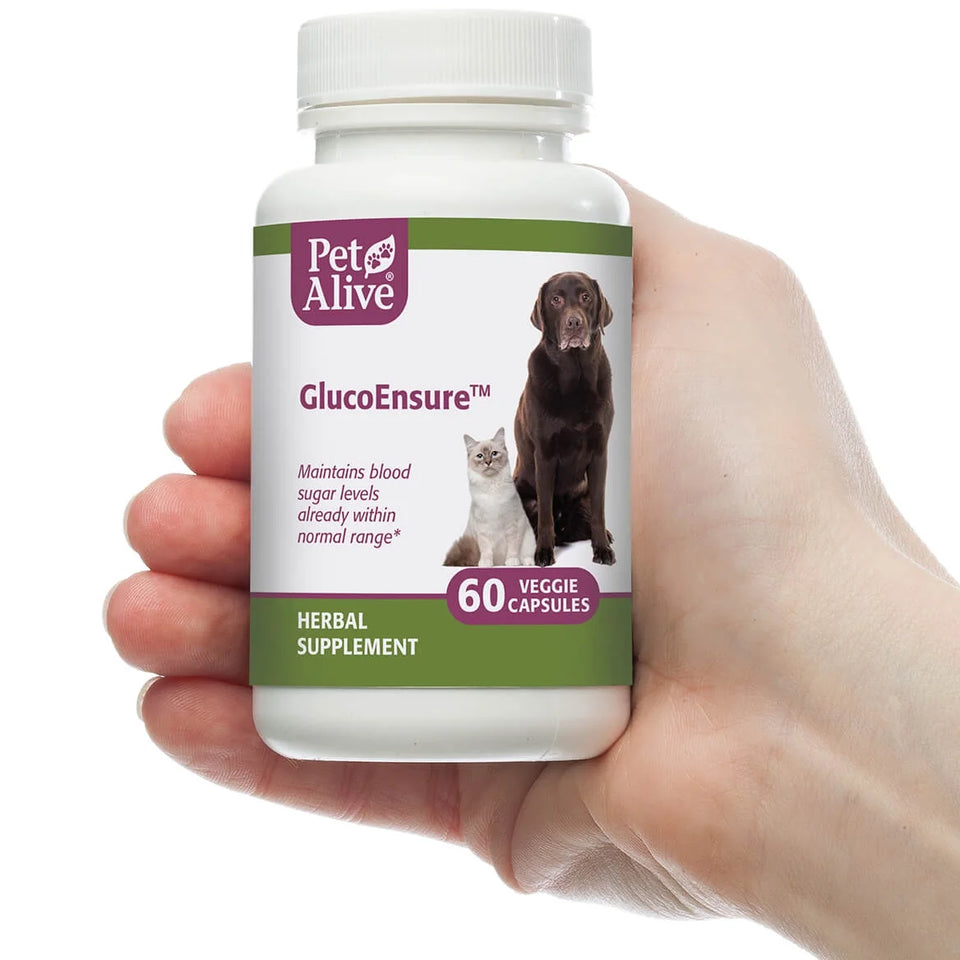 Glucoensure - Natural Herbal Supplement for Healthy Blood Sugar Levels in Pets