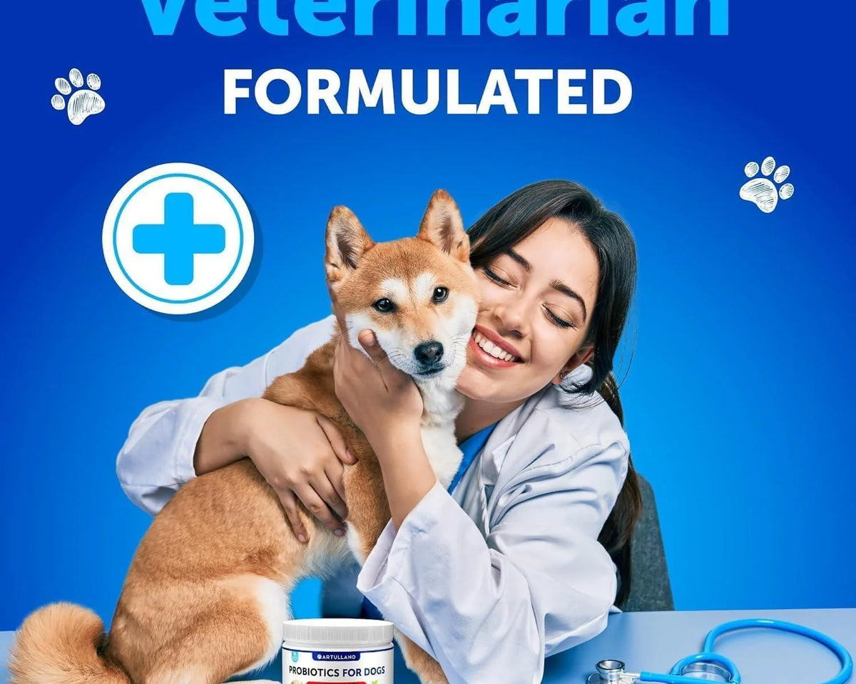 Ultimate Probiotics for Dogs - Boost Gut Health, Relieve Itchy Skin & Allergies, Strengthen Immunity & Combat Yeast