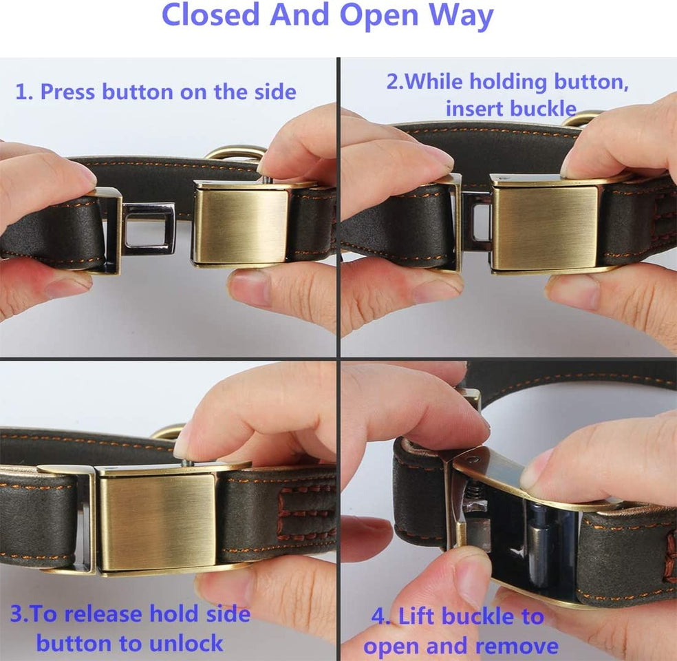 Basic Classic Luxury Padded Leather Dog and Cats Collar,