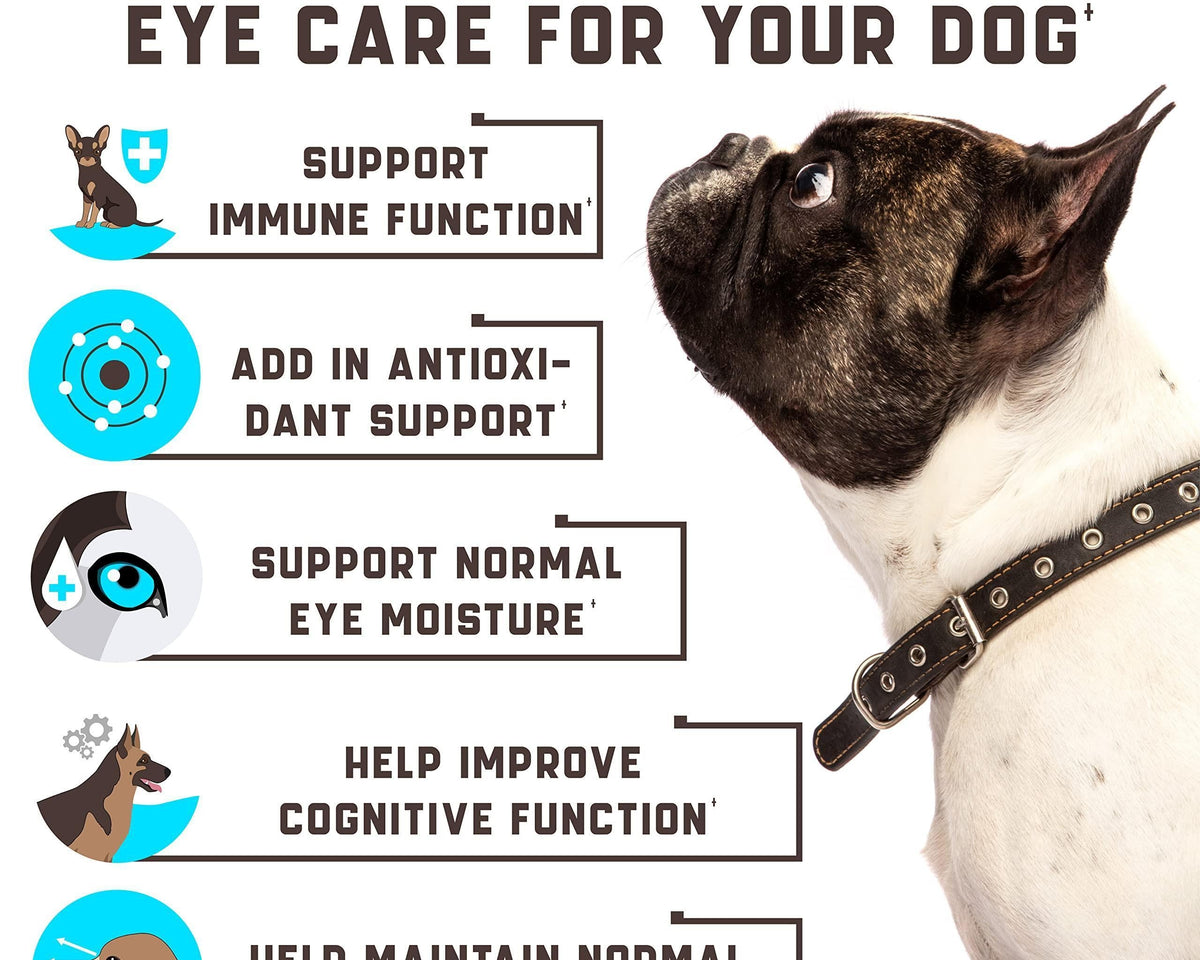 Eye Vitamins for Dogs