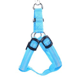 LED Nylon Pet Safety Harness - My Pet Collective LED Nylon Pet Safety Harness