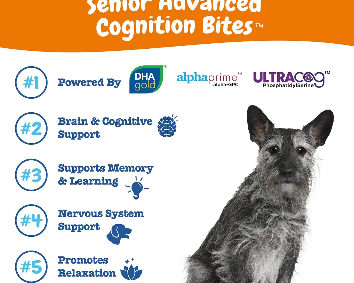 Senior Advanced Cognition Bites for Dogs - Chicken Flavor, 90 Count - Boost Brain Health & Memory Recall