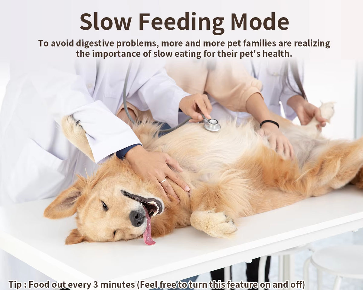 Smart Automatic Cat Feeder with Wi-Fi Connectivity and App Control for Remote Feeding, Easily Detachable for Cleaning