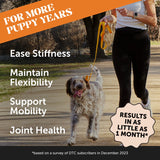 Bacon-Flavored Hip & Joint Health Chews for Happy Pets