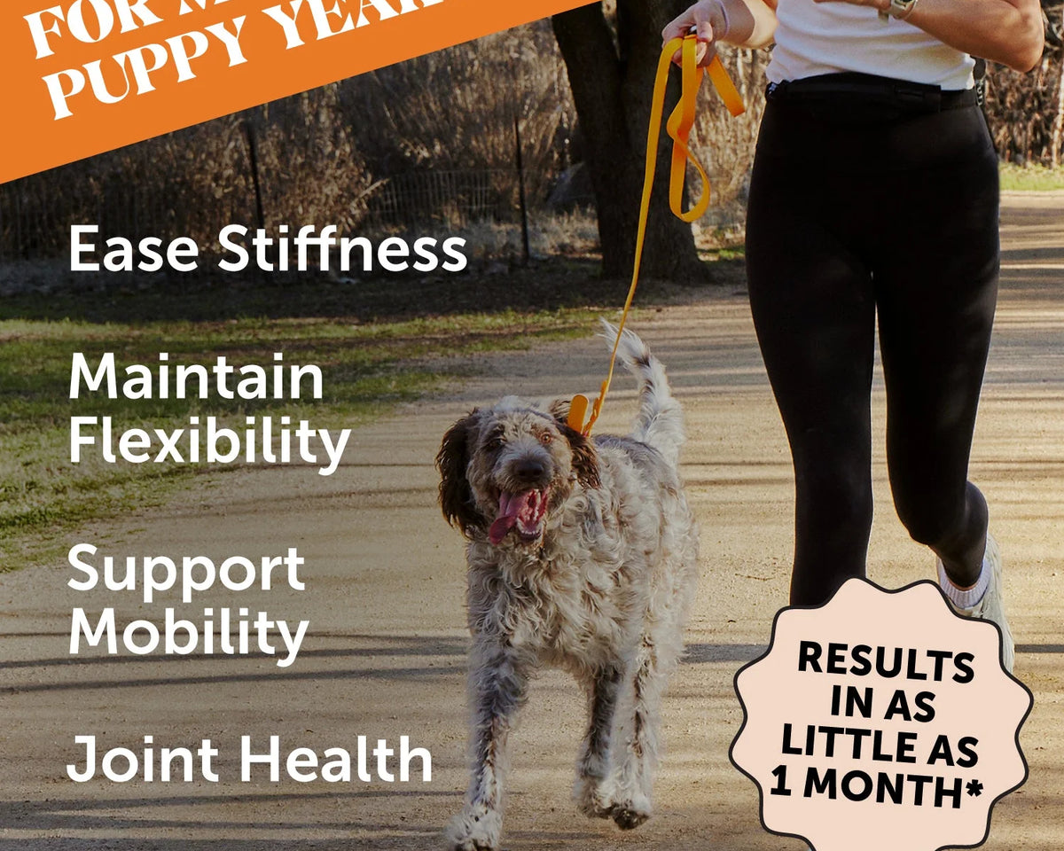Bacon-Flavored Hip & Joint Health Chews for Happy Pets