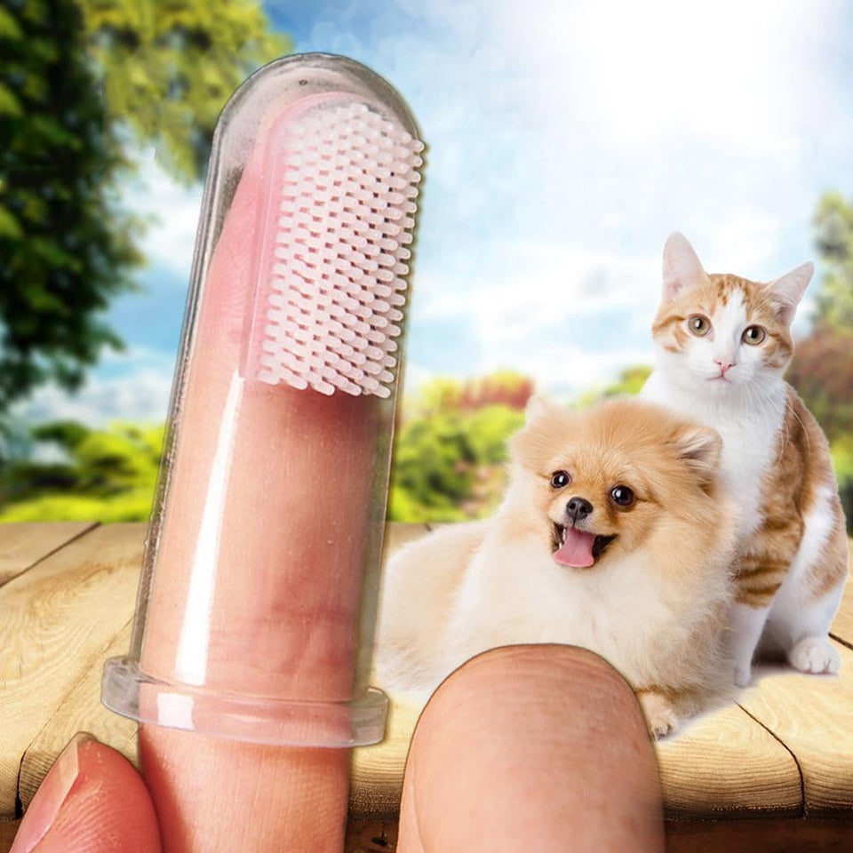 Super Soft Dog & Cat Toothbrush - My Pet Collective Super Soft Dog & Cat Toothbrush