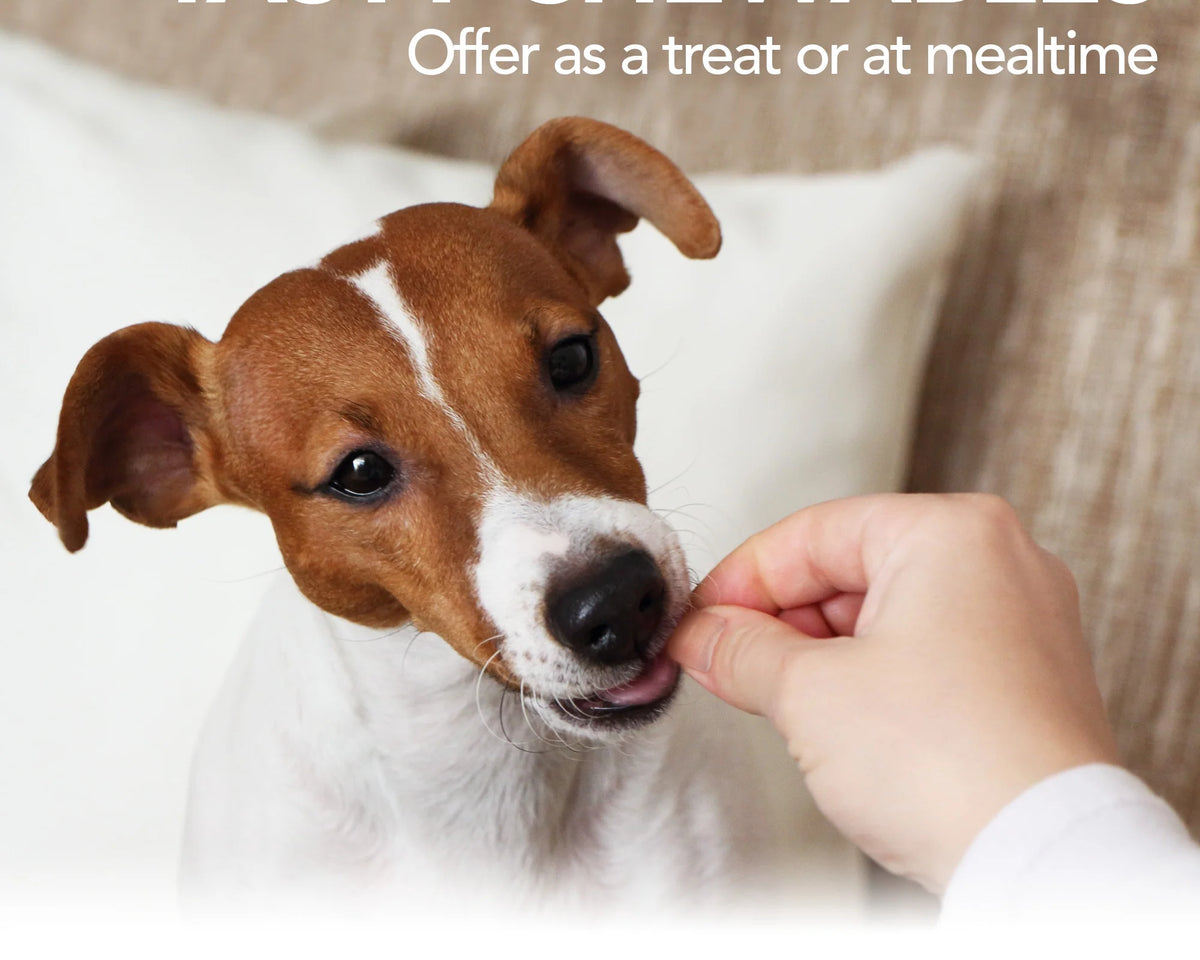 Vet's Best Hip & Joint Support Chewable Tablets for Dogs - 50 Count for Aches & Pains Relief