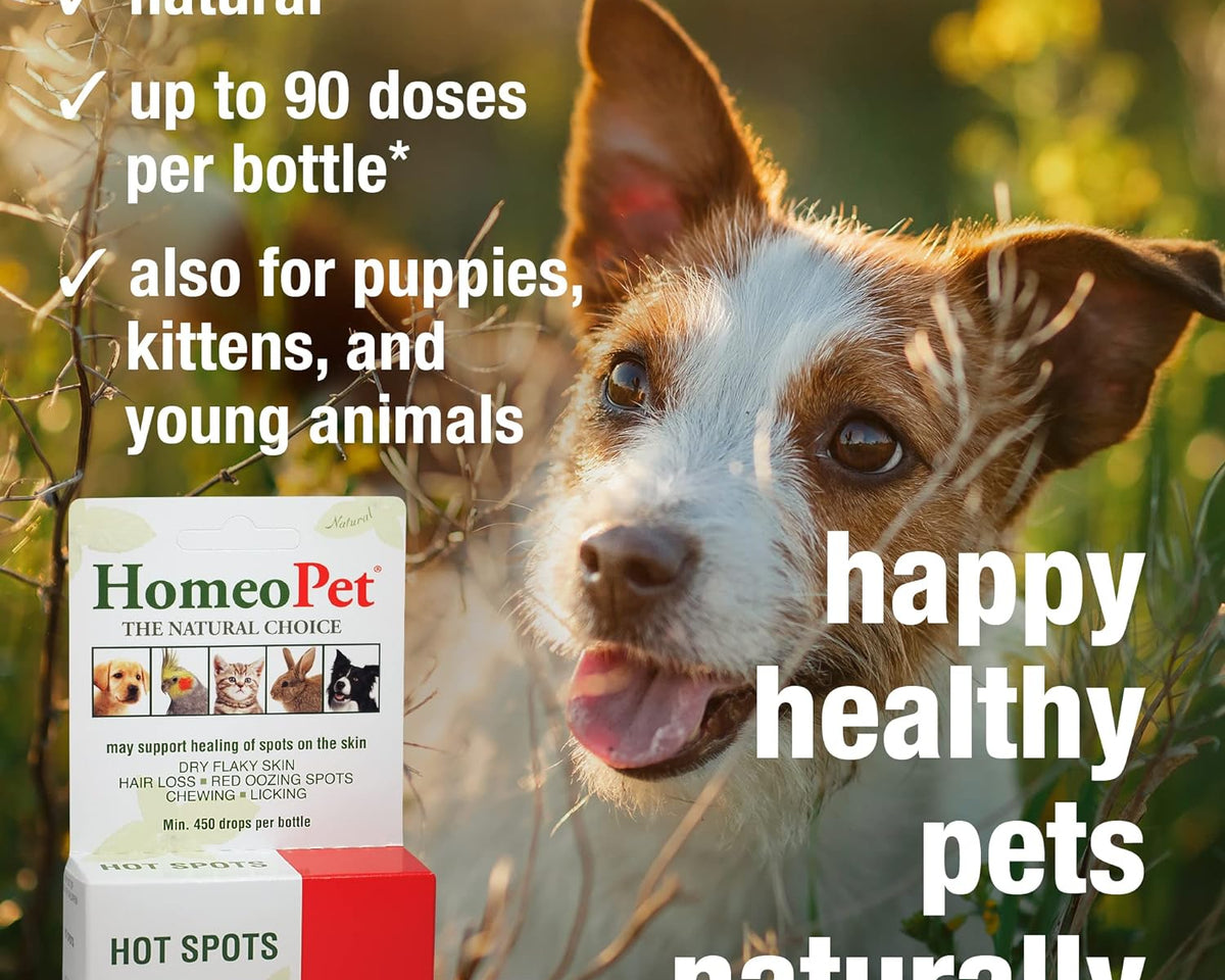 Hot Spots Relief - Natural Skin Soothing Solution for Cats and Dogs, 15ml