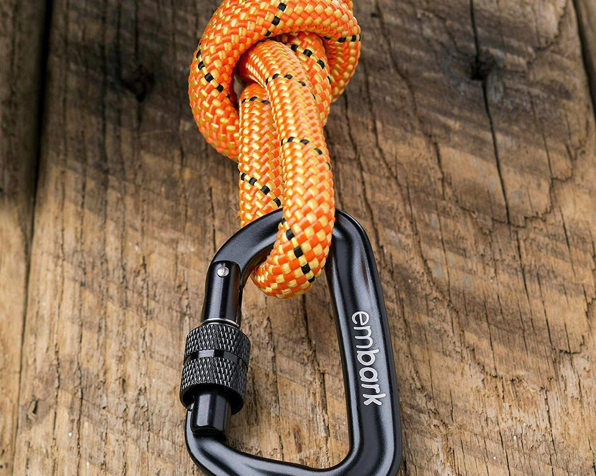 Embark Adventure Pro Leash - 6Ft Heavy-Duty Nylon Dog Leash with Climbing Rope & Carabiner for All Breeds