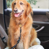 Adjustable 2-Pack Dog Seat Belts for Ultimate Pet Safety in Your Vehicle