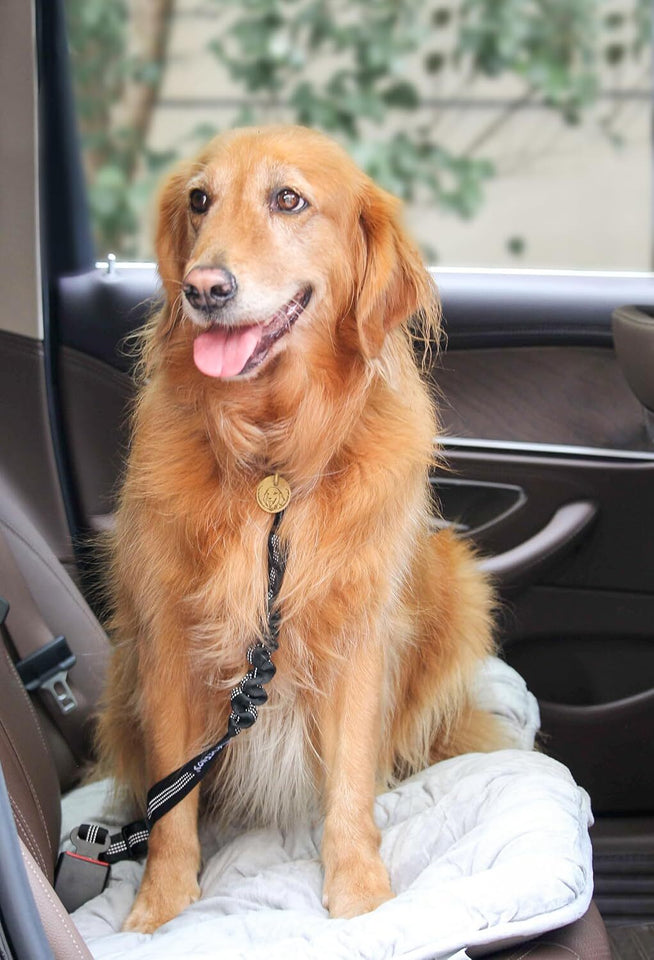 Adjustable 2-Pack Dog Seat Belts for Ultimate Pet Safety in Your Vehicle