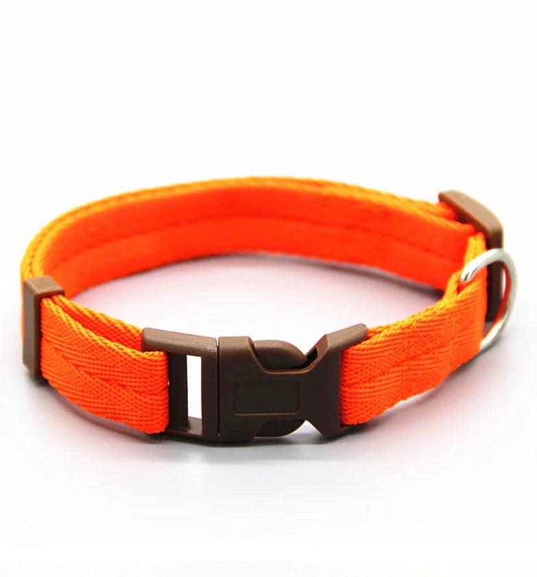 VivaNylon Adjustable Dog Collar - My Pet Collective
