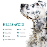 Effective Anti-Motion Sickness Relief for Medium Dogs - 20 Caplets for Disorientation and Dizziness