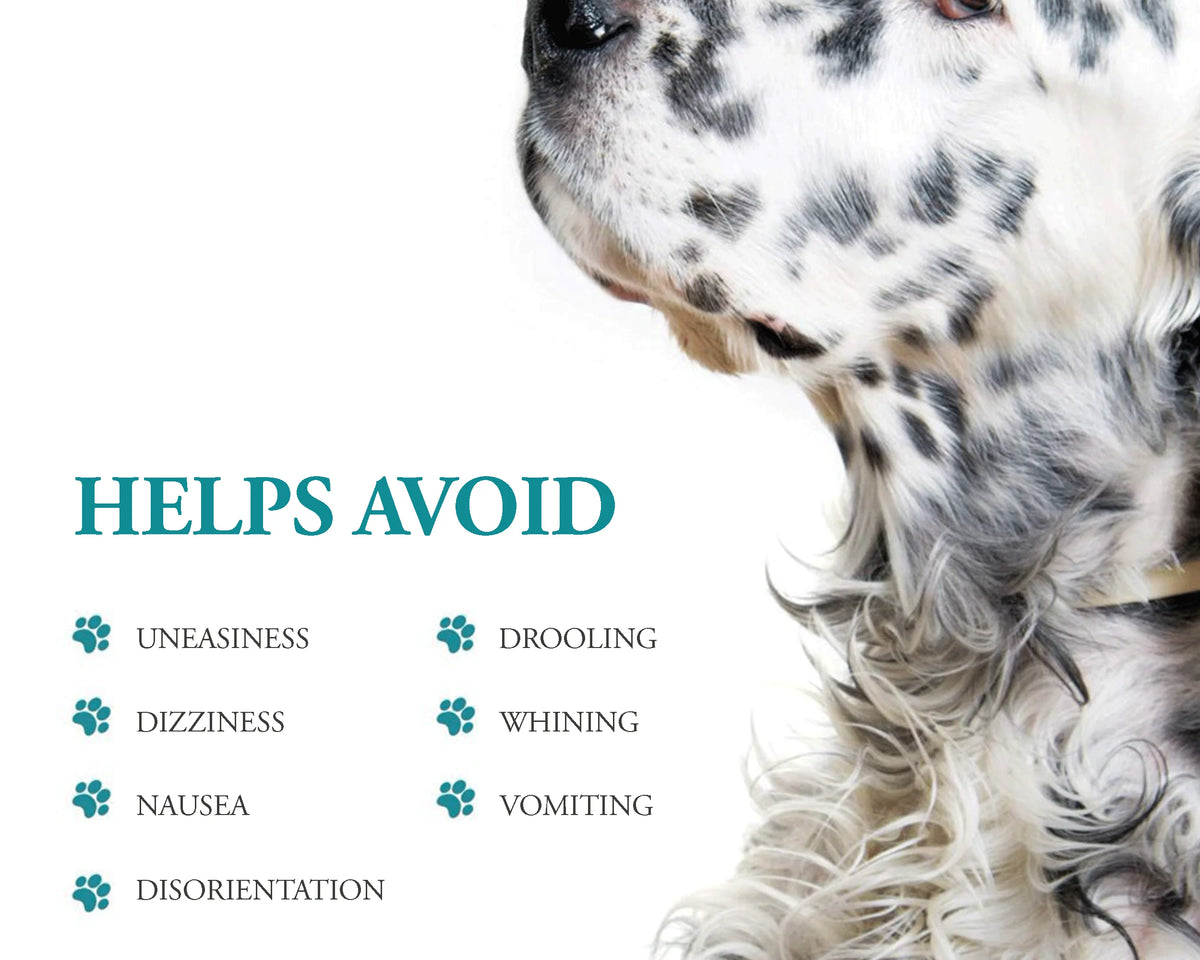 Effective Anti-Motion Sickness Relief for Medium Dogs - 20 Caplets for Disorientation and Dizziness