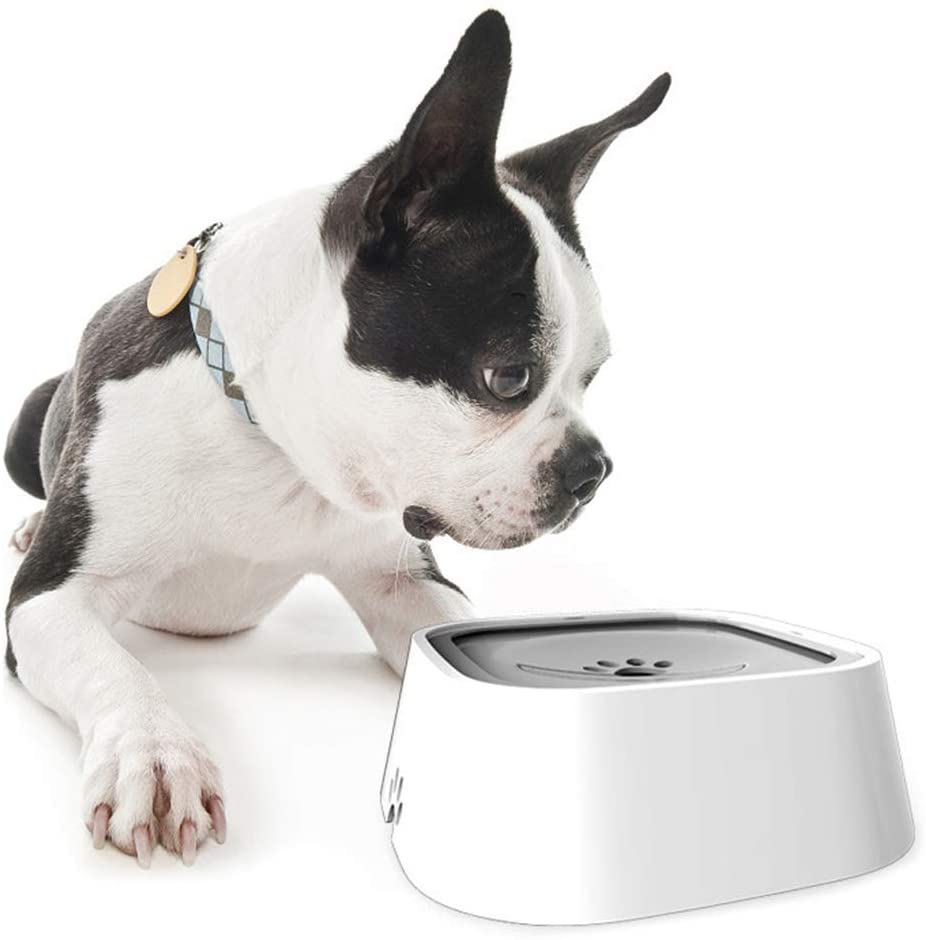 Spill-Proof Pet Travel Water Bowl - My Pet Collective Spill-Proof Pet Travel Water Bowl