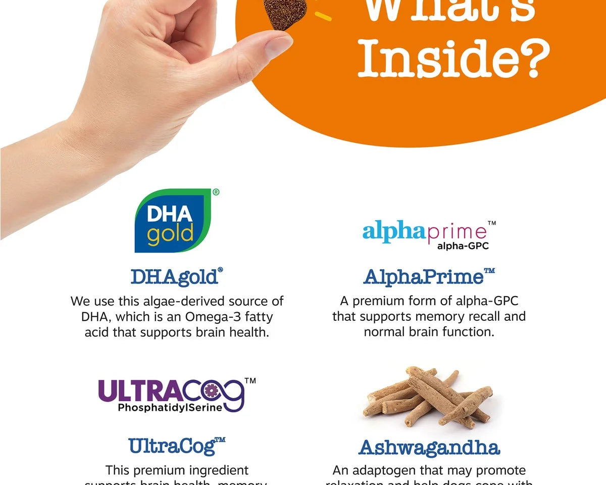 Senior Advanced Cognition Bites for Dogs - Chicken Flavor, 90 Count - Boost Brain Health & Memory Recall