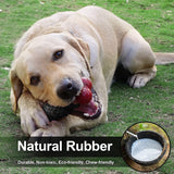 Indestructible Dog Toy for Aggressive Chewers - Interactive Bone Toy for Medium to Large Dogs by Dinosam