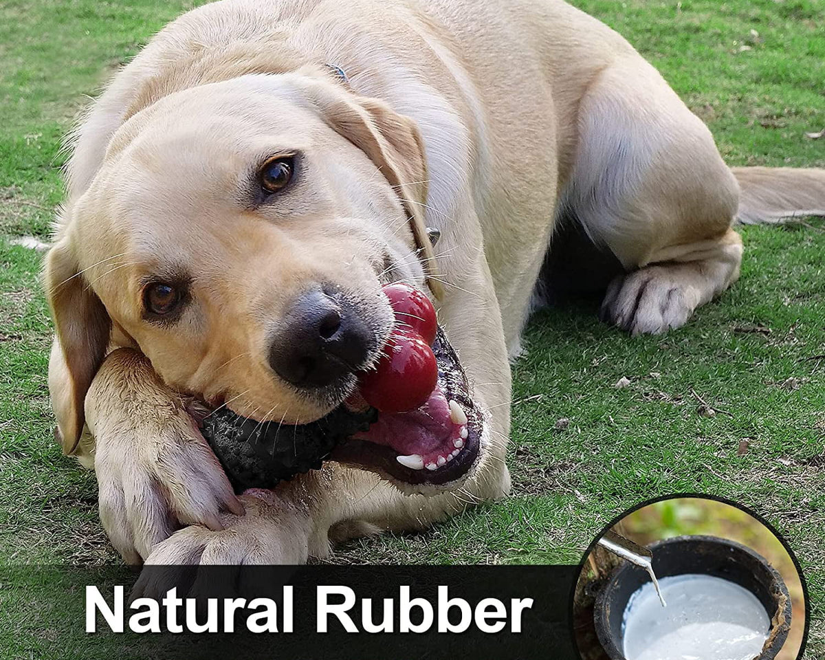 Indestructible Dog Toy for Aggressive Chewers - Interactive Bone Toy for Medium to Large Dogs by Dinosam