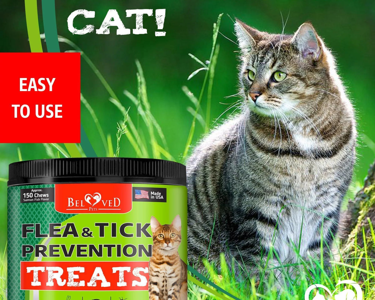 Revolutionary Chewable Insect Prevention Pills for Cats - Tasty Oral Treats for Happy Pets!