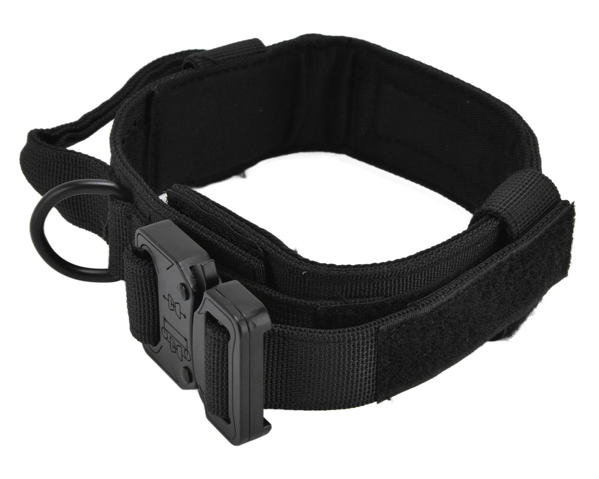 Traction Dog Collar with Buckle Nylon Iron Training Hunting Collar Pet Accessory for OutdoorBlack L