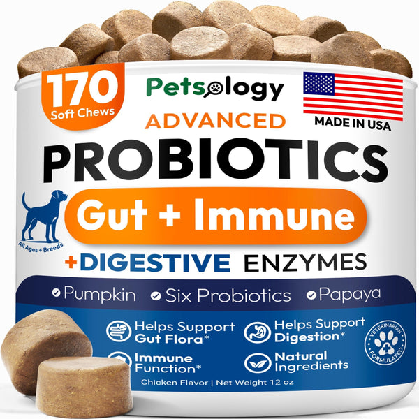 Delicious Probiotic Chews for Dogs - 170 Digestive Enzymes & Prebiotics for Optimal Gut Health!