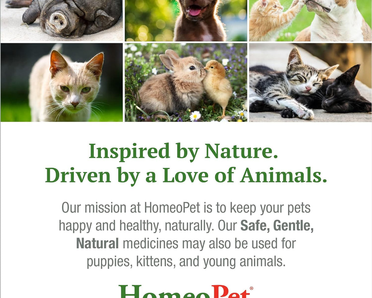 Hot Spots Relief - Natural Skin Soothing Solution for Cats and Dogs, 15ml