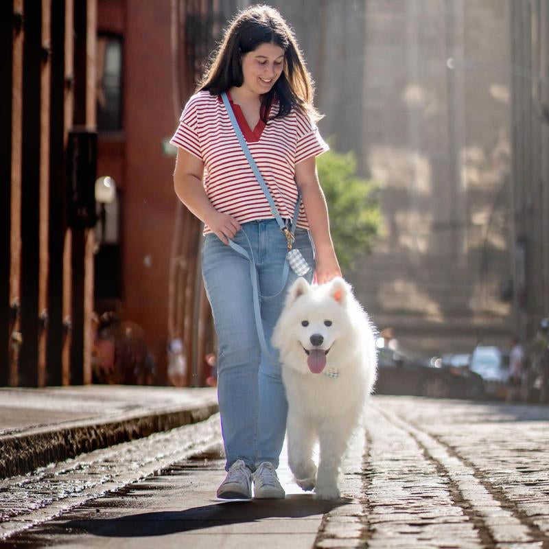 4-in-1 Convertible Hands-Free Cloud Dog Leash, 8.5 Feet Long, 3/4 Inch Wide