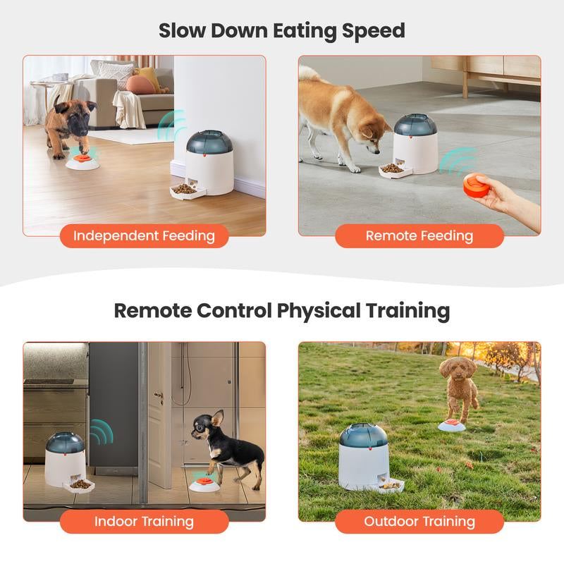 Interactive IQ Training, Electronic Dog Toys