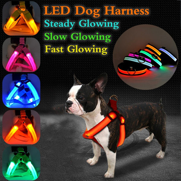 LED Nylon Pet Safety Harness - My Pet Collective LED Nylon Pet Safety Harness