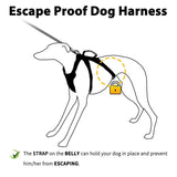 Huntboo Escape-Proof Reflective Dog Harness - Adjustable, Breathable, and Durable Vest for Small to Large Dogs - Perfect for Walking, Training, and Running
