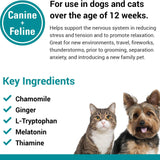 Relax & Unwind: Stress Away Calming Chews for Dogs and Cats - 65 Soft Chews with Melatonin & Ginger