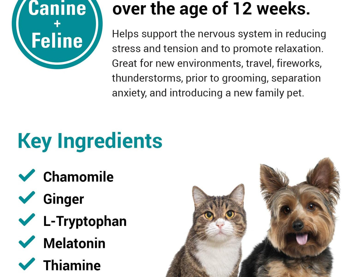 Relax & Unwind: Stress Away Calming Chews for Dogs and Cats - 65 Soft Chews with Melatonin & Ginger