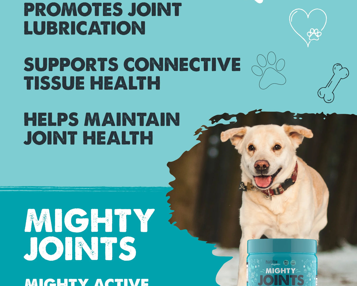 Waggables Hip & Joint Chews for Dogs - Vet-Formulated Glucosamine, Chondroitin & MSM Supplement for Enhanced Mobility - 120 Count
