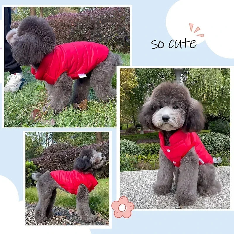 Double Sided Dog Coat Winter Warm Pet Dog Clothes for Small Medium Dogs Vest Chihuahua Clothing Soft Puppy Costumes