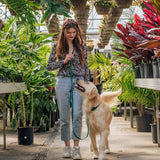 4-in-1 Convertible Hands-Free Cloud Dog Leash, 8.5 Feet Long, 3/4 Inch Wide