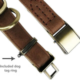 Basic Classic Luxury Padded Leather Dog and Cats Collar,