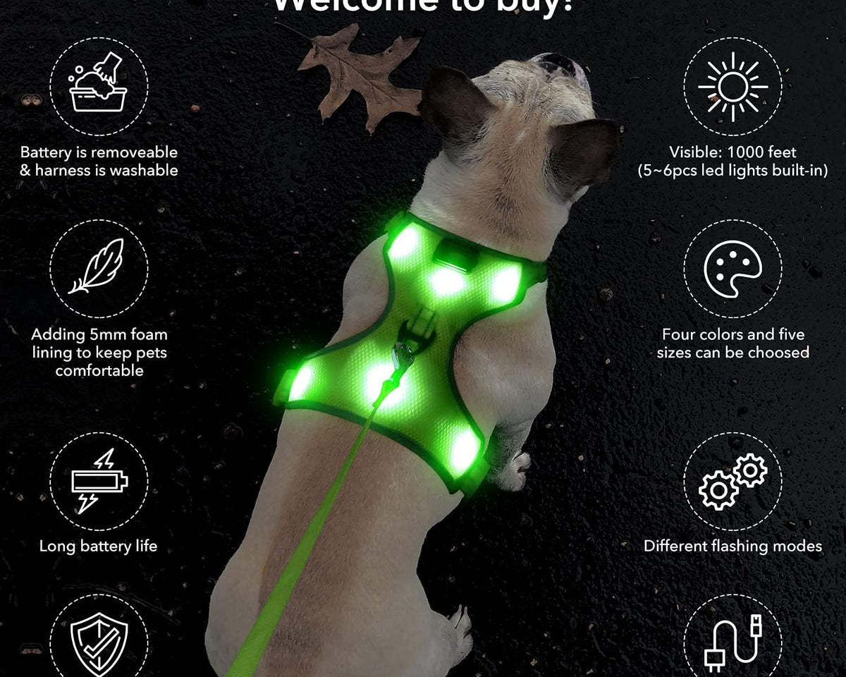 USB Rechargeable LED Dog Harness with Reflective Strips - Adjustable Medium Comfort Fit (Green)