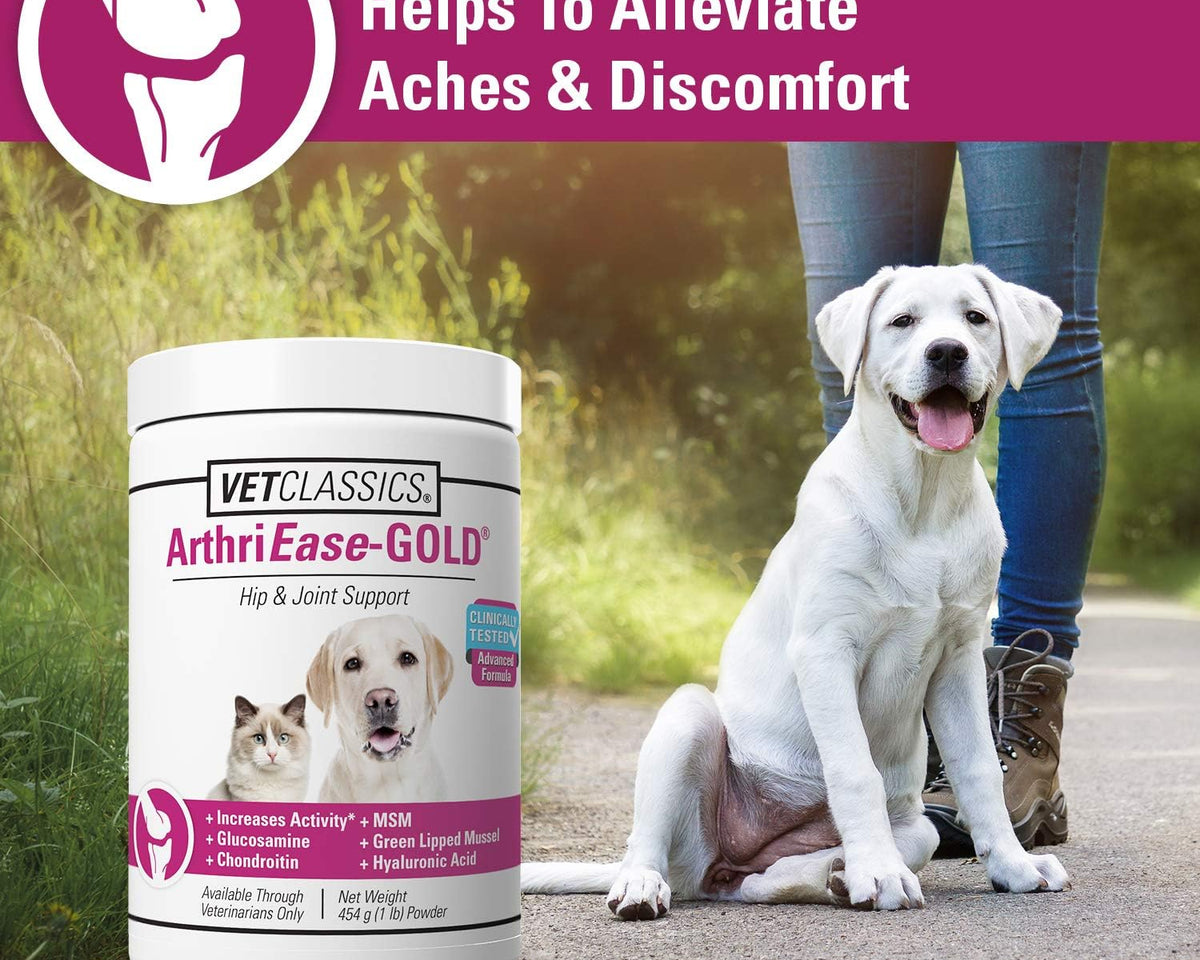 Arthriease-Gold Hip & Joint Support Powder for Dogs & Cats - Boost Flexibility & Joint Health - Antioxidant-Enriched 1 lb