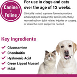 Arthriease-Gold Hip & Joint Support Powder for Dogs & Cats - Boost Flexibility & Joint Health - Antioxidant-Enriched 1 lb