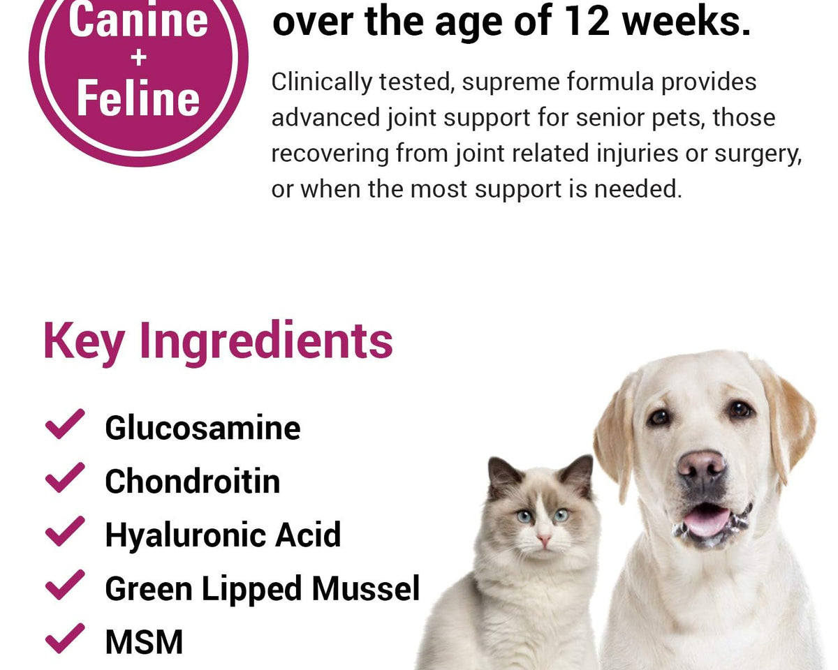 Arthriease-Gold Hip & Joint Support Powder for Dogs & Cats - Boost Flexibility & Joint Health - Antioxidant-Enriched 1 lb