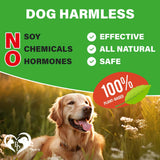 Premium Hip & Joint Soft Chews for Senior Dogs - Natural Arthritis Relief with Glucosamine, Chondroitin & Turmeric for Enhanced Mobility