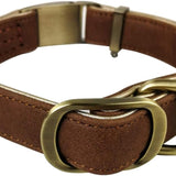 Basic Classic Luxury Padded Leather Dog and Cats Collar,