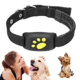 Z8 GPS Pet Tracker - Real-Time Location, Anti-Lost Collar for Dogs & Cats